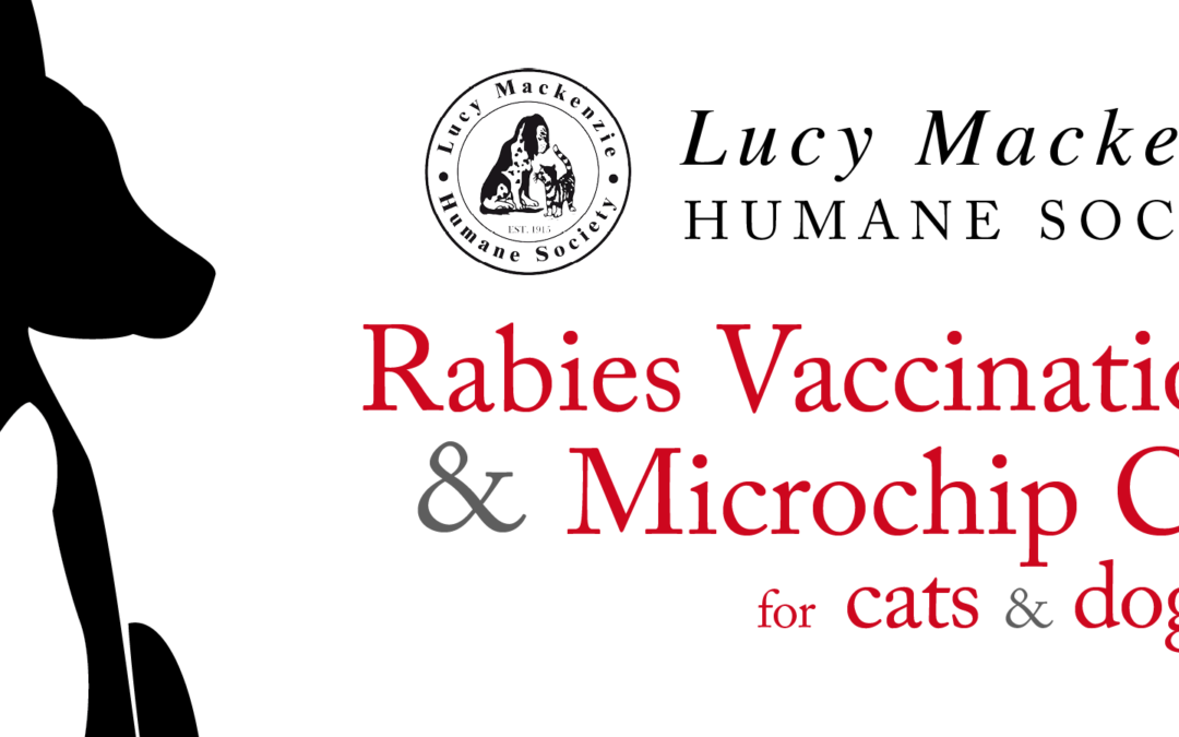 Rabies Vaccination & Microchip Clinic