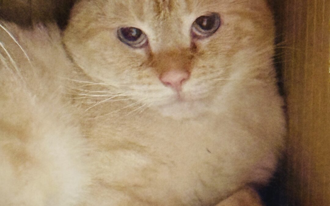 Walter